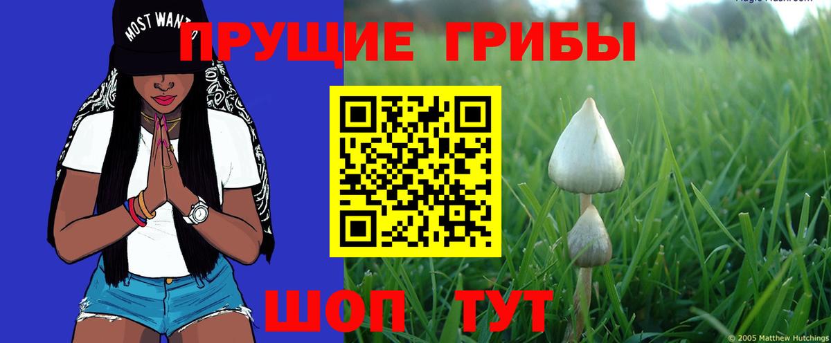 Галлюциногенные грибы ЛСД  Вход с VPN  Норильск  Галлюциногенные грибы мухоморы 